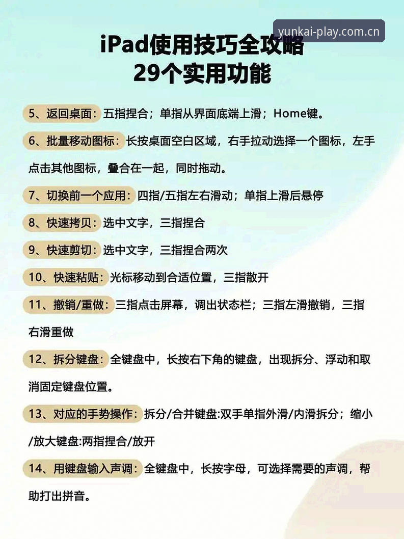 云开体育平台电脑版安全性详解与新手操作指南